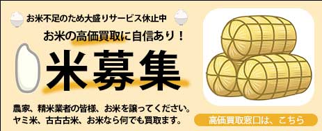バナー作品